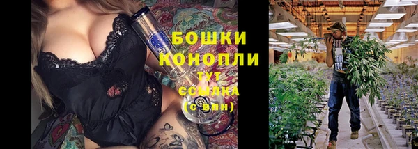 хмурый Покачи